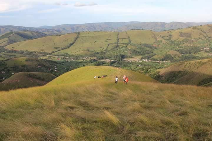 Uganda Lodge tweet media