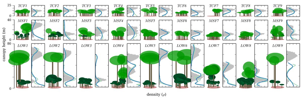 kungphil's tweet photo. ForestLAS, a #python package to characterise a canopy vertical structure 🌳 from airborne #lidar 

https://t.co/JlODIJ0YAv

Finally uploaded code from my PhD for y'all to enjoy.

@ProfCoffeeRMIT @_FrontierSI_ https://t.co/69FPmfYiLQ