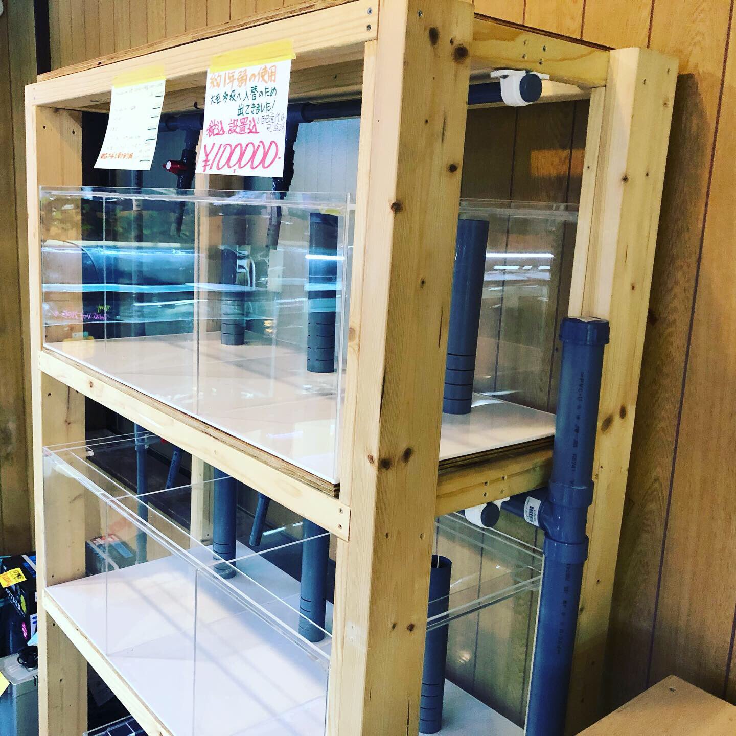 株式会社アクアズ 山口 Ar Twitter 名古屋店に中古水槽 アクアズオリジナル多段水槽セット アクアズオリジナル木製台 90cm用 ホワイトニス塗りの白木仕様 どちらもかなりの綺麗レベル