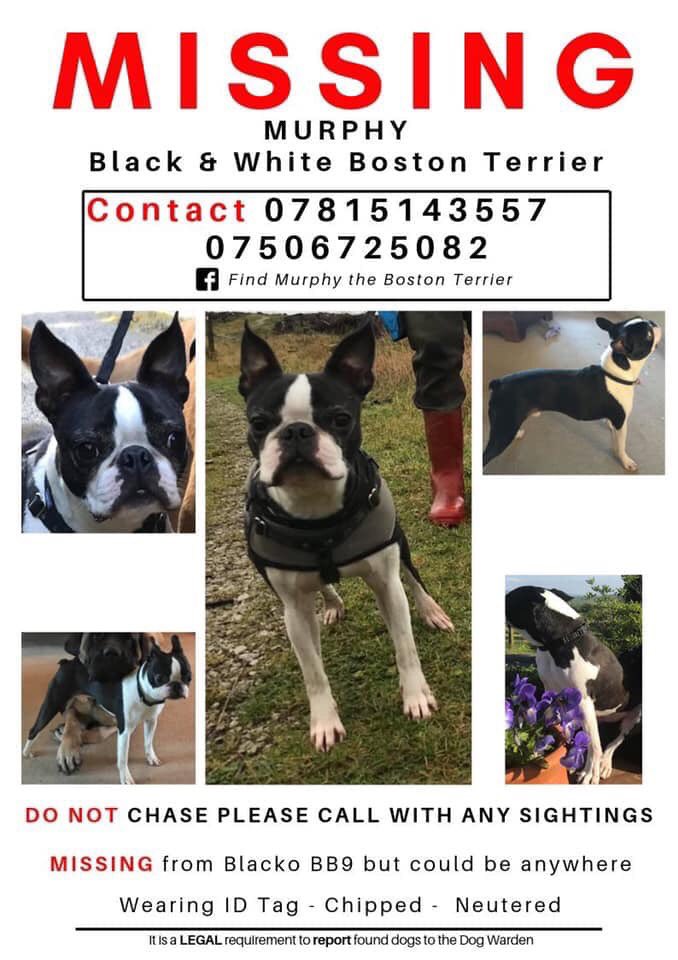 poppyparkerx's tweet photo. ❌❌❌ Pretty please everyone who sees this RETWEET to find little MURPHY ! He’s been missing for 2 weeks now! ❌❌❌ https://t.co/7fyEnQu1rh