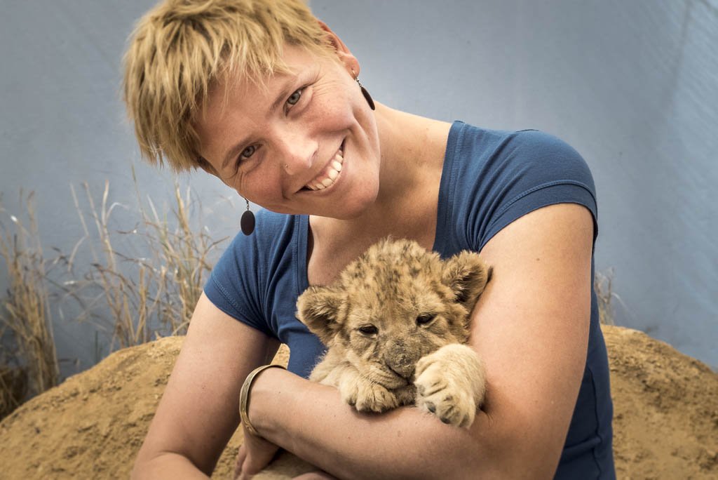 OpenExplorers's tweet image. Peak cuteness at the "Lion and Safari Park" near Johannesburg back in August 2016.
