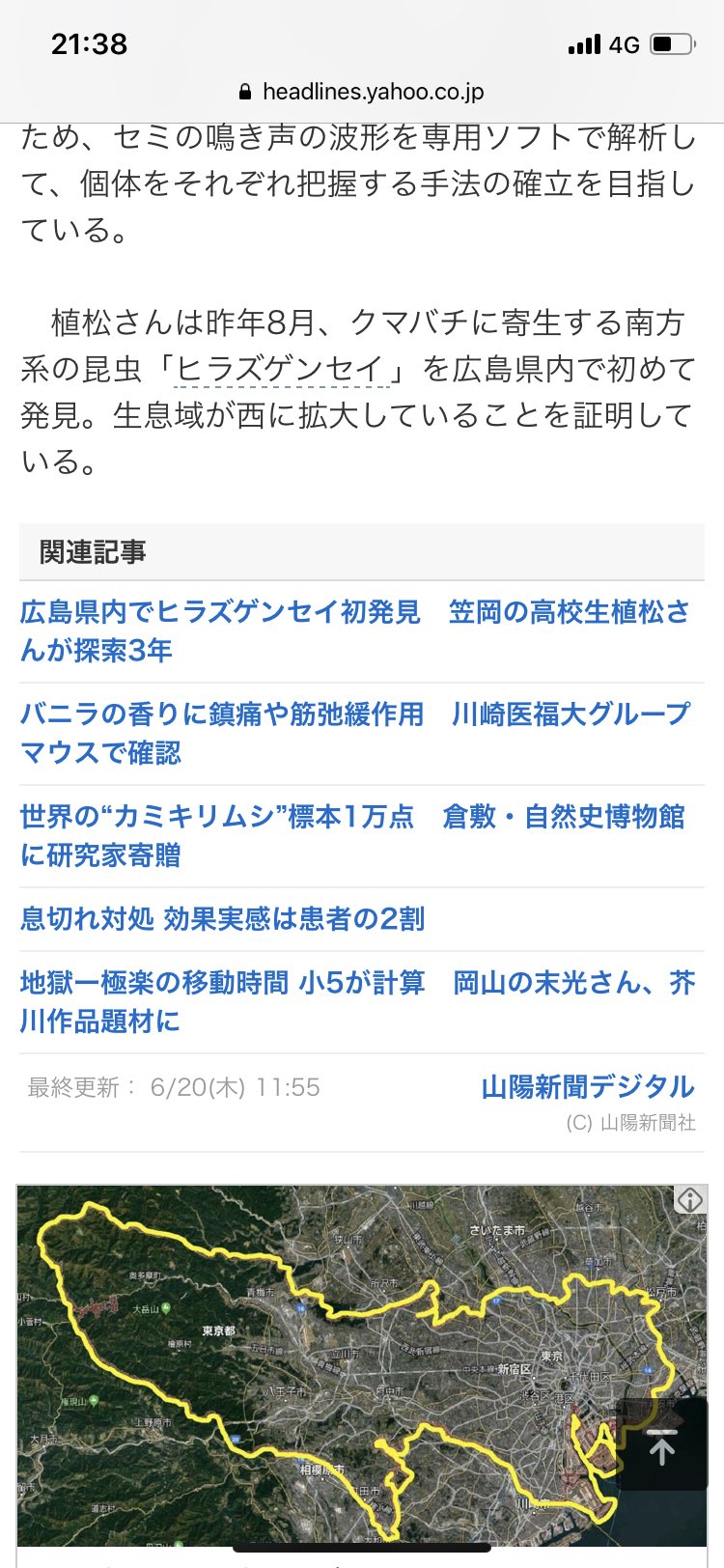 寿命 高校生 セミ