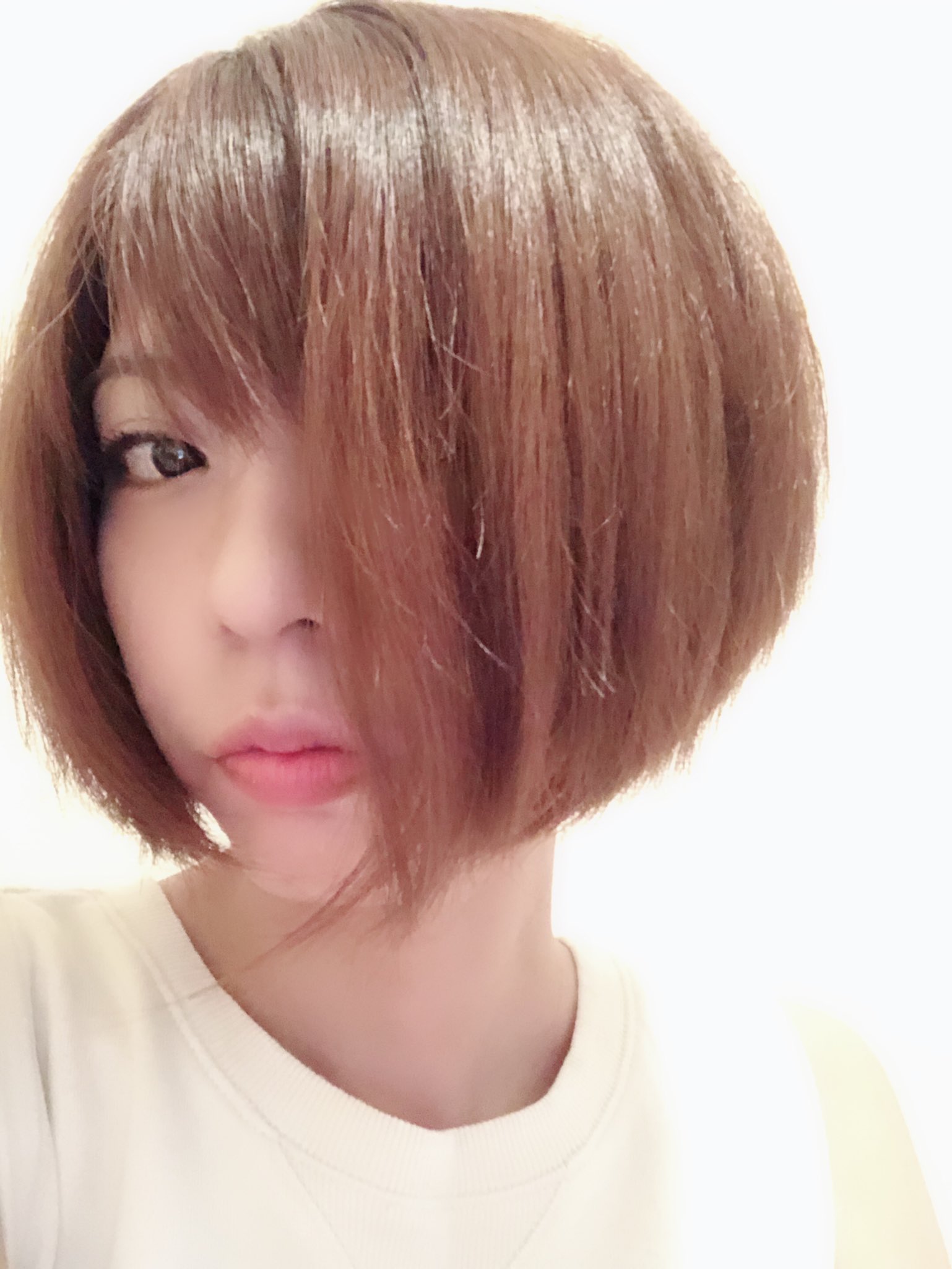 O Xrhsths 宮地真緒 Sto Twitter 洗いざらしの伸びた髪 メンテしてもらい ツルサラが帰ってきました お帰り 会いたかったよツルサラ 抜けた色も少し暗めに いつもありがとうございます W Gratii 杉山さん ナノセラミド T Co 9baajtowlq