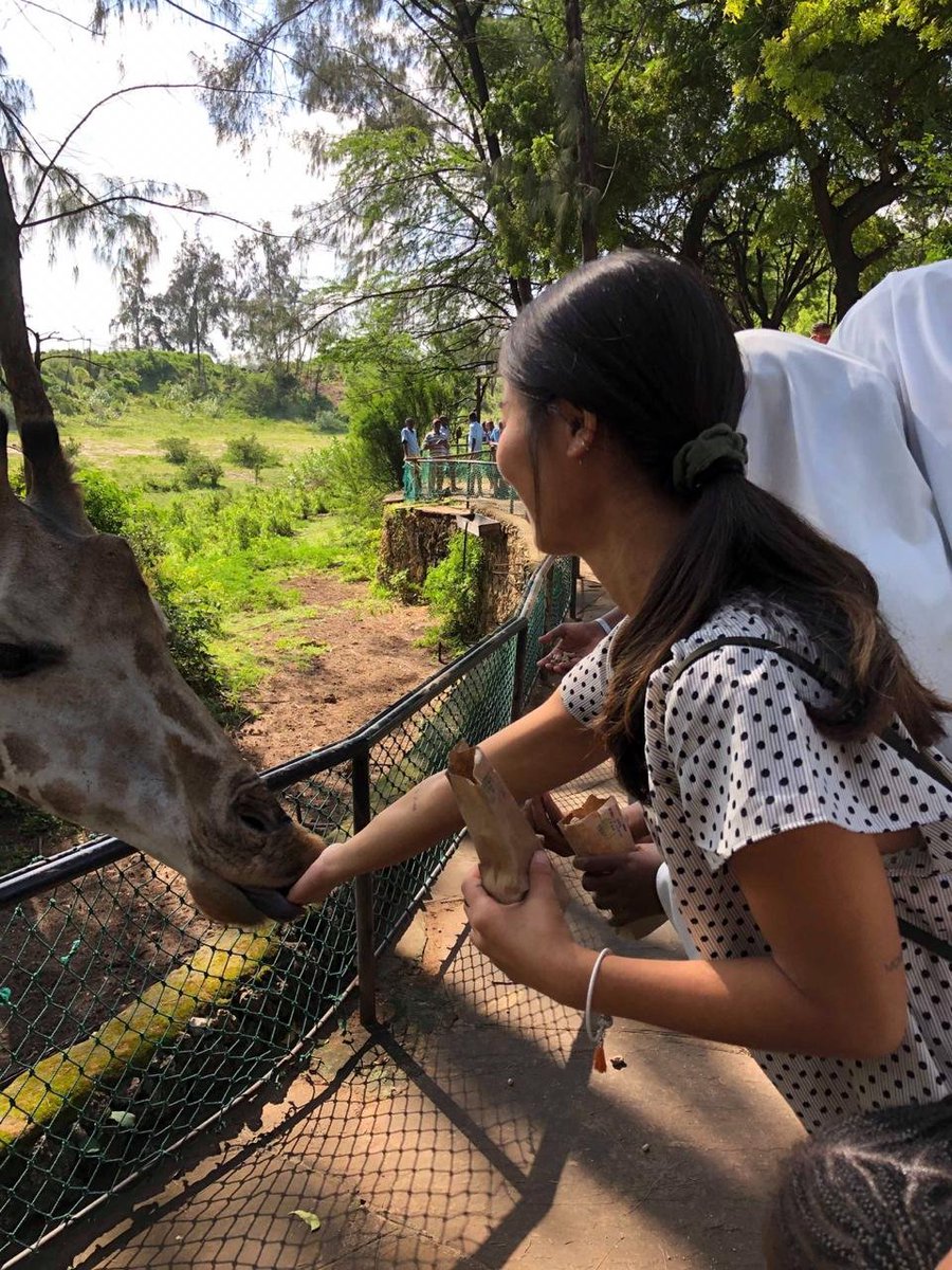 electiveafrica's tweet image. Looking to experience such breathtaking outdoor activities while interning abroad during healthcare internship. 

Learn more from our website here! electiveafrica.com/destinations

#ElectiveAfrica #MedicalVolunteerAbroad #InternshipsAbroad #SummerInternships #PreDentistryInternships