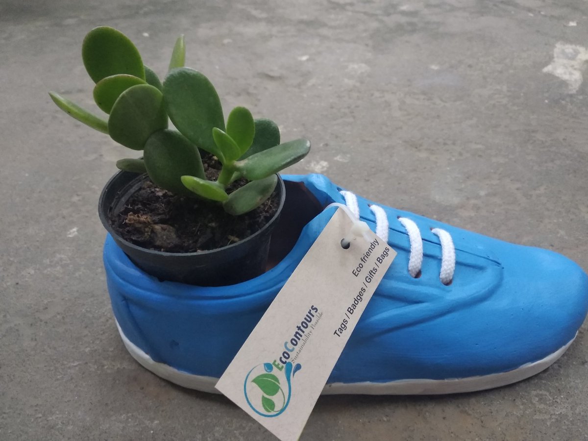 EcoContours tweet media