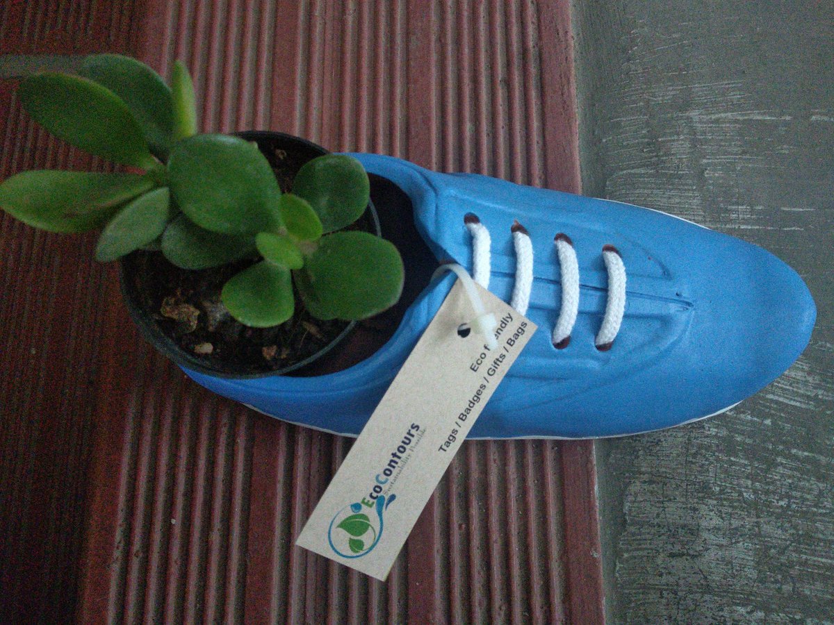 EcoContours tweet media