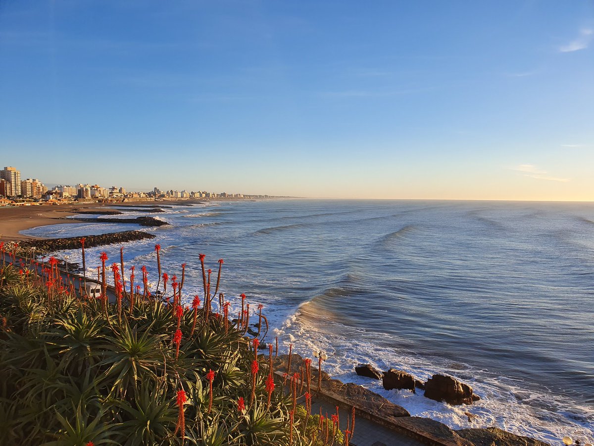 MarDelPlataARG's tweet photo. Miércoles 😍
(📷 @augelliale) https://t.co/bAFgryLHiz