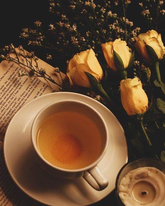 iskeleyayinevi's tweet photo. Kitaplar zekanın çocuklarıdır.
-J.Swift
#iskeleyayınevi #jswift #anlamlısözler #kitap #kitapsızasla #kitapsever #okumak #books #booklove #rread https://t.co/uCpoztDDMk