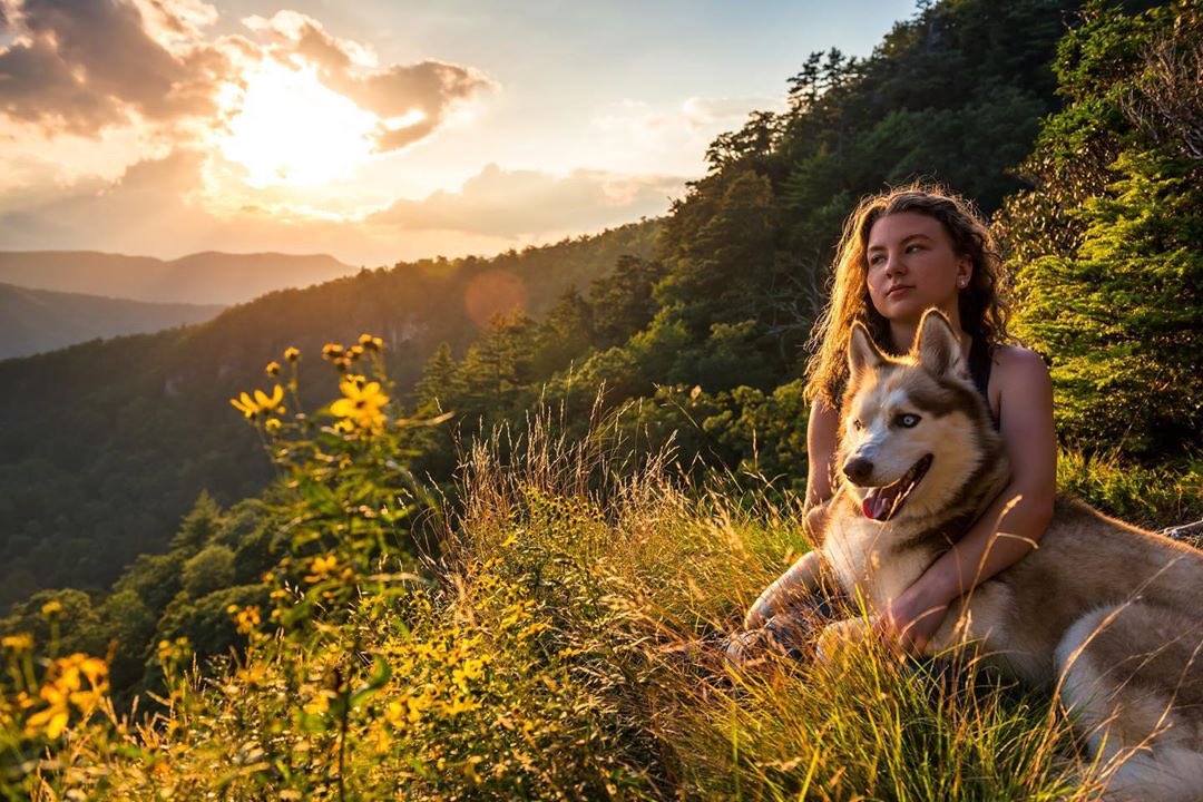 ExploreBoone's tweet photo. Golden hour wildflower
📷: Shawn Mitchell Photography, Lightworks Gallery, Foscoe, NC
#itsbetterinboone https://t.co/96GQguOMPj