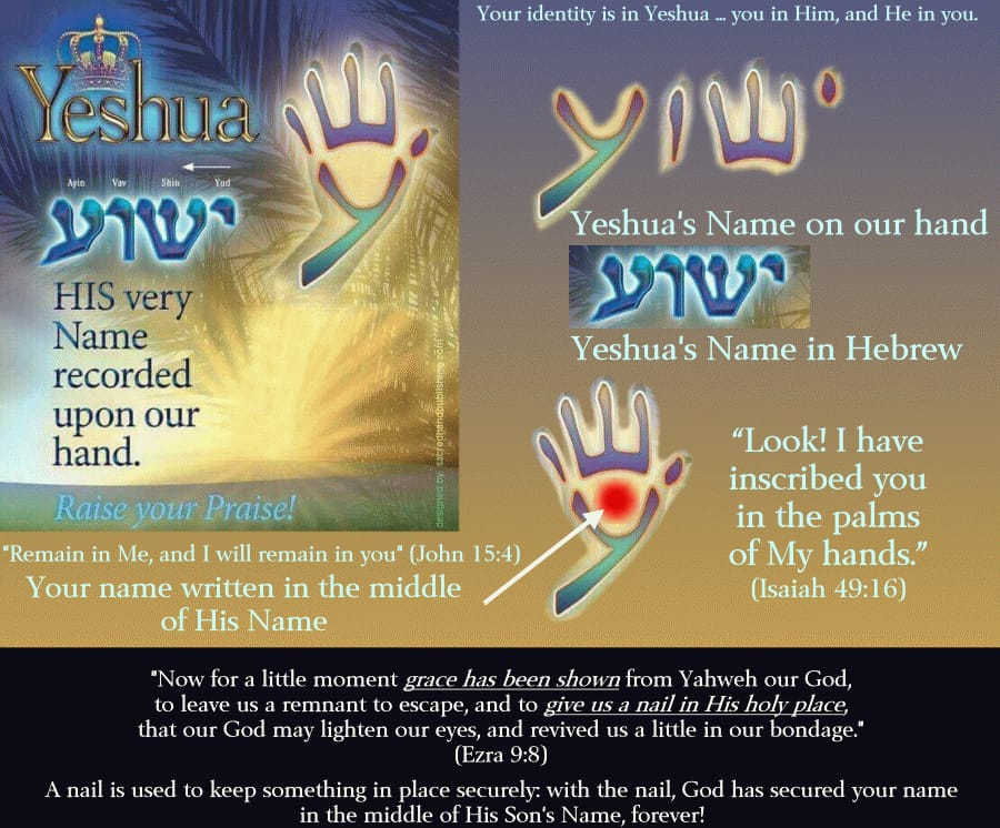 ministerricky1's tweet photo. Thank You Lord God that You #KeepUs in the #PalmOfYourHand!
Thank You for #BearingUs in Your #MercyAndGrace to #ComeBeforeYou in prayer!
Please keep our hand #InYourHand for we are created #InYourImage & we are yours for Your Name is upon us!
IJCN, TY๐๐ผ
#EuropaAfricaUS https://t.co/UgXu4Sq9gT