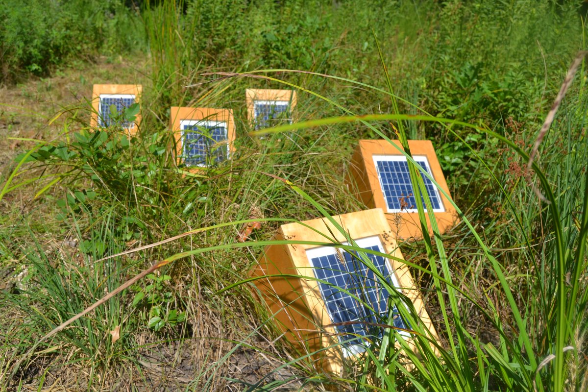 CraigColorusso's tweet photo. Sun Boxes walkthrough at Wilson Springs, Fayetteville, AR. Part of IMMERSE:Wilson Springs thanks to @NWALandTrust #craigcolorusso #sunboxes https://t.co/BXAY0M5WoZ