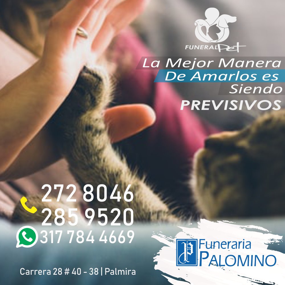funpalomino's tweet photo. Amalos siendo previsivos...  Info 2728046-2859520 WSP 3177844669
.
#FunerariaPalomino #mascotas #pets #Palmira #Porpalmiravalelapena #palmiravalle #palmirave #palmiravé #palmiravende #palmiravalledelcauca #palmiravalledelcaucacolombia #quehacerenpalmira https://t.co/ox0Aqy9UKt