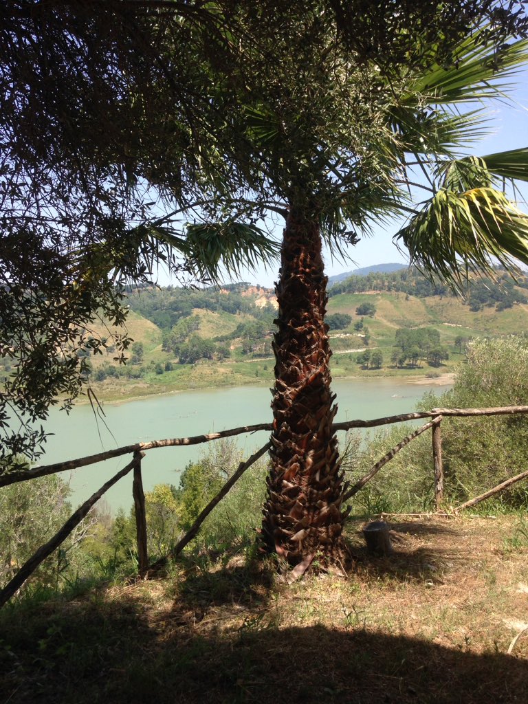 daniela_barilla's tweet image. Leaving the toe of Italy to start the epic drive all the way to Yorkshire under a vibrant blue sky scattered with candy floss clouds. #legrandtour #Europeisbeautiful #Calabria