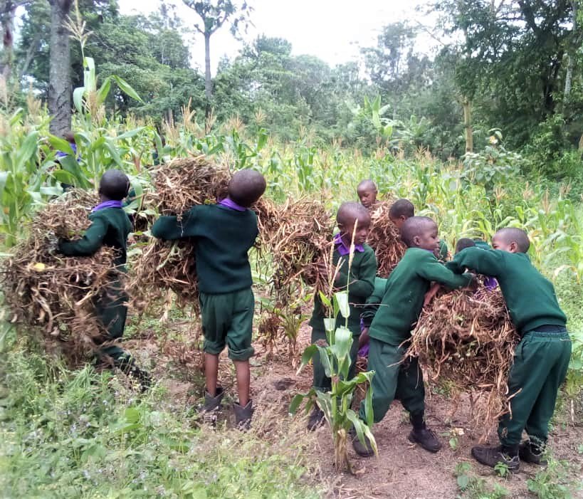EMCSTz's tweet photo. What else do you do at the end of another term at EMCS? Harvest your beans of course! #Sustainable #education #Tanzania #bigsmiles https://t.co/FhWkiFjMY8