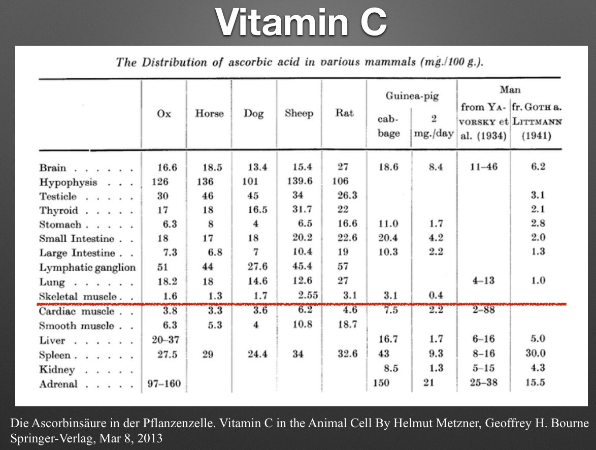 It's not actually true, as widely believed, that meat has no vitamin C whatsoever. The USDA database assumed that erroneously. When measured it is there, albeit in relatively small amounts. An antiscorbutic dose could be had in a pound or two of meat. 4/