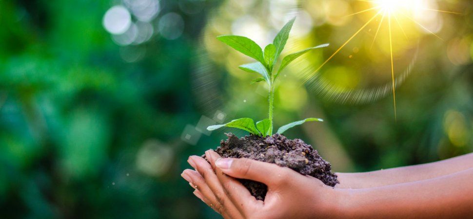 Feeling little or no passion at work? Learning &amp; development is the key to changing that. Learn how you can get energized in your career once more. . #TalentNetworth  #careerdevelopment #careerinvesting 
inc.com/andrew-thomas/…