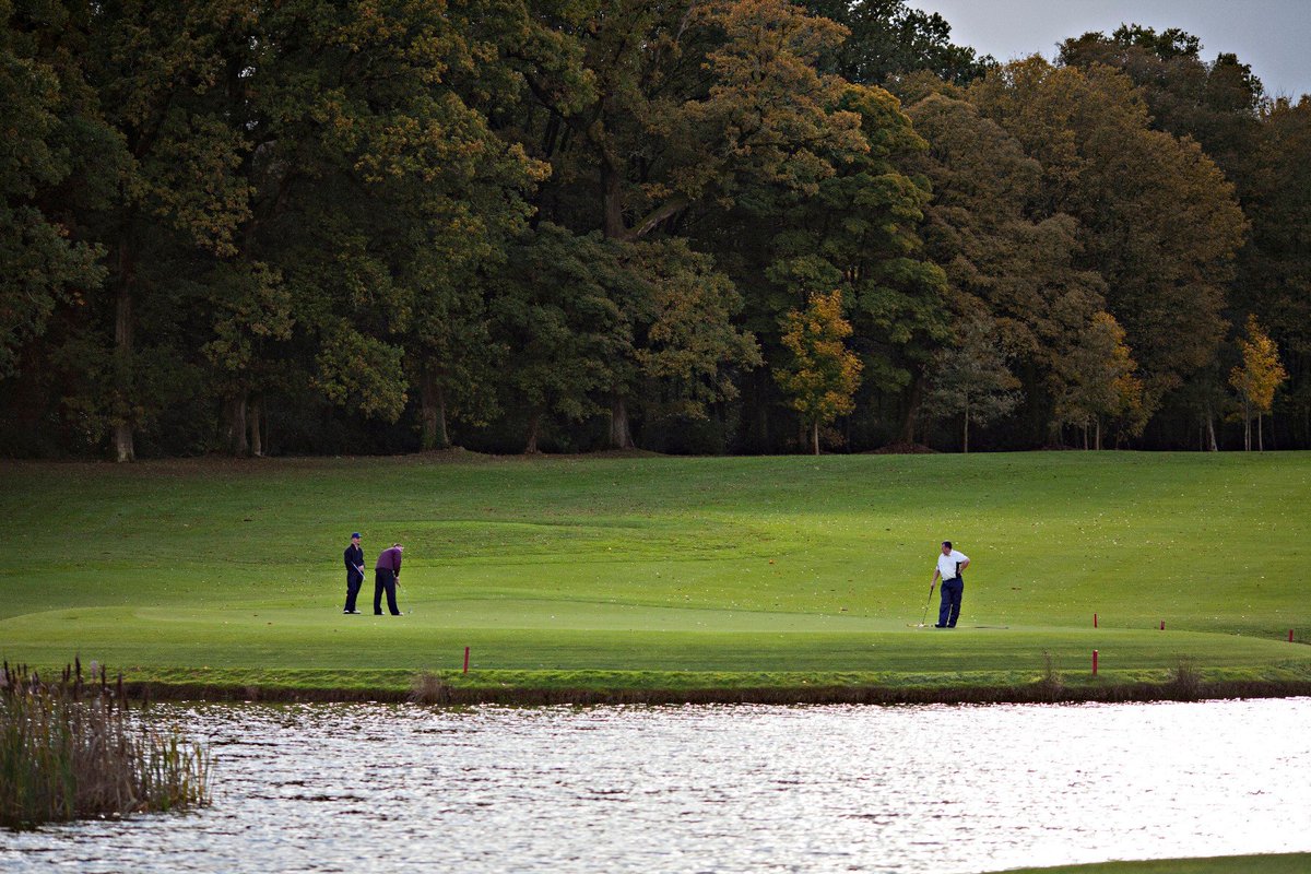 HarbourCork's tweet photo. @FotaIsland is home to the most exquisite Golf Club in Ireland. Play golf in the wonderful natural surrounding and experience the fun challenges on the three championship golf courses in the Club!
#corkharbourislands #OurIslandsYourAdventure #purecork #golf #golfcourse #sport https://t.co/rq4Bo20Oxd