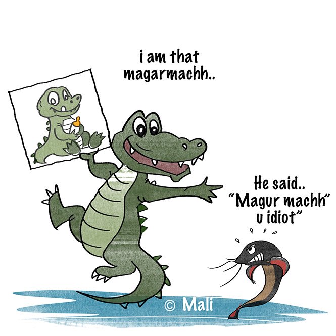 Malicartoonist's tweet photo. #magarmachh #crocodile @BearGrylls https://t.co/q7ObqItEo6