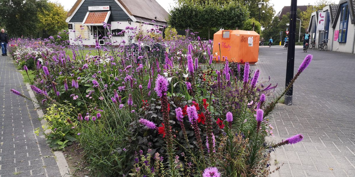 Mensen en insecten houden van bloemen. Zuidelijke entree Middenwaard bloeit. <a href="/GemHHW/">Gemeente Heerhugowaard, in Memoriam</a>