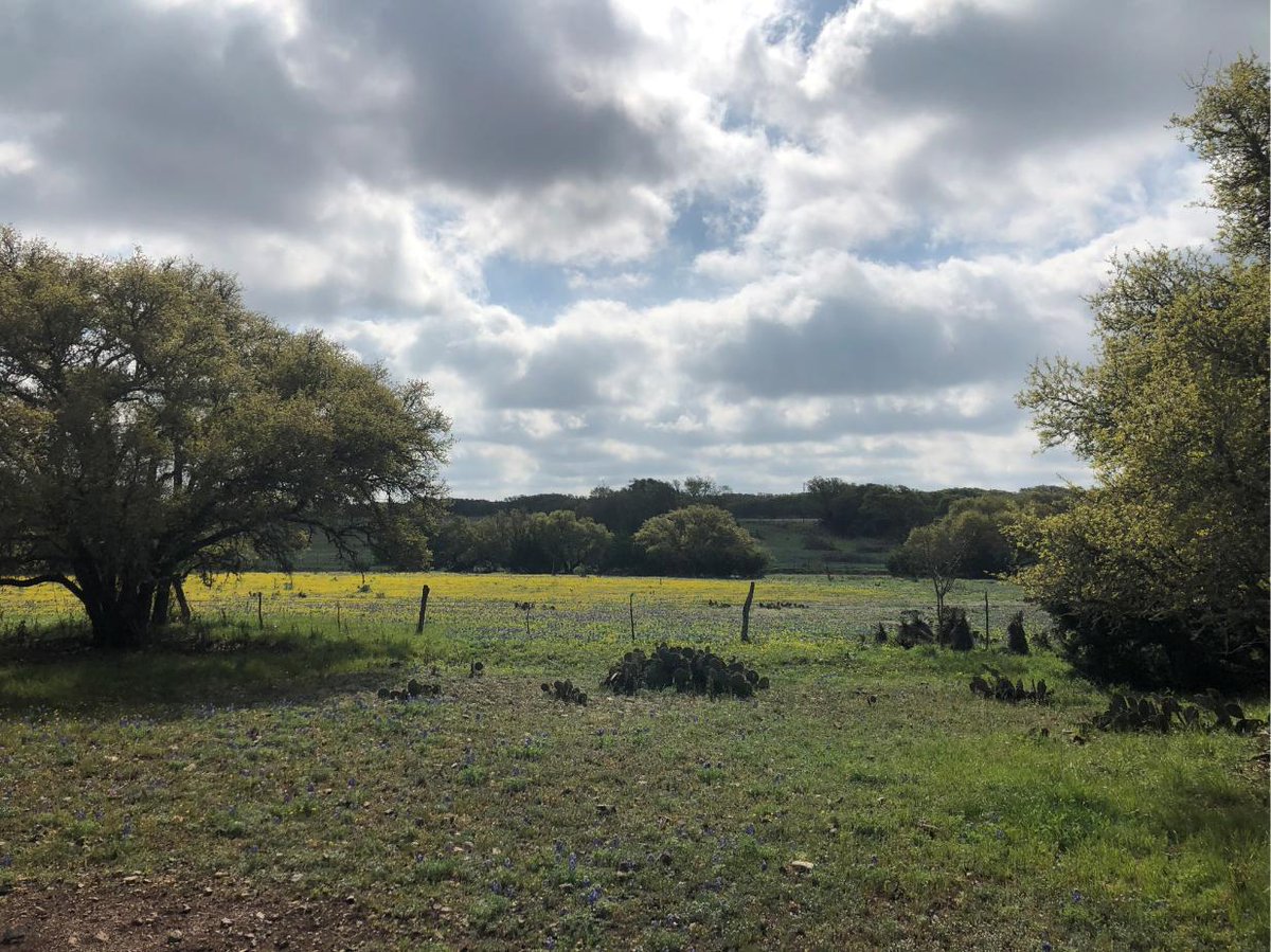 SGSF_Forests's tweet photo. Some days are sunny, some days are cloudy, but everyday is rewarding when you work in the #outdoors. It's just another day in the life of a forest inventory & analysis forester. #MyOfficeToday #TexasFIA #ILoveMyJob https://t.co/K5Cs3FHrO4