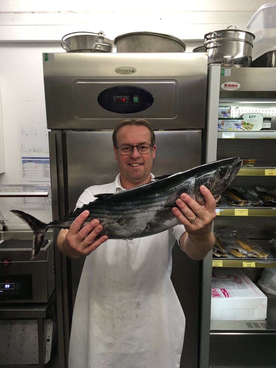 cornallsseafood's tweet photo. Cornish caught Bonito, Cod and Coalfish 😊in the shop today @markethallshrew https://t.co/SYDgDTD5Sy