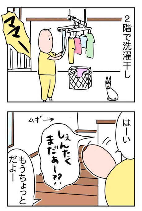 階段下のムギ
 