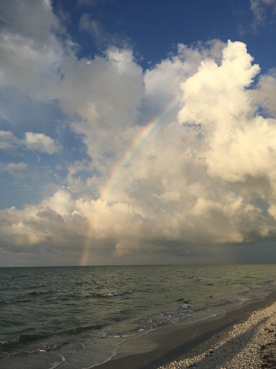 oceansreach's tweet photo. What a spectacular sight to see on Sanibel!
https://t.co/KbMJQ2mrGH
#Sanibel #OceansReach https://t.co/2gUCBiqxwf