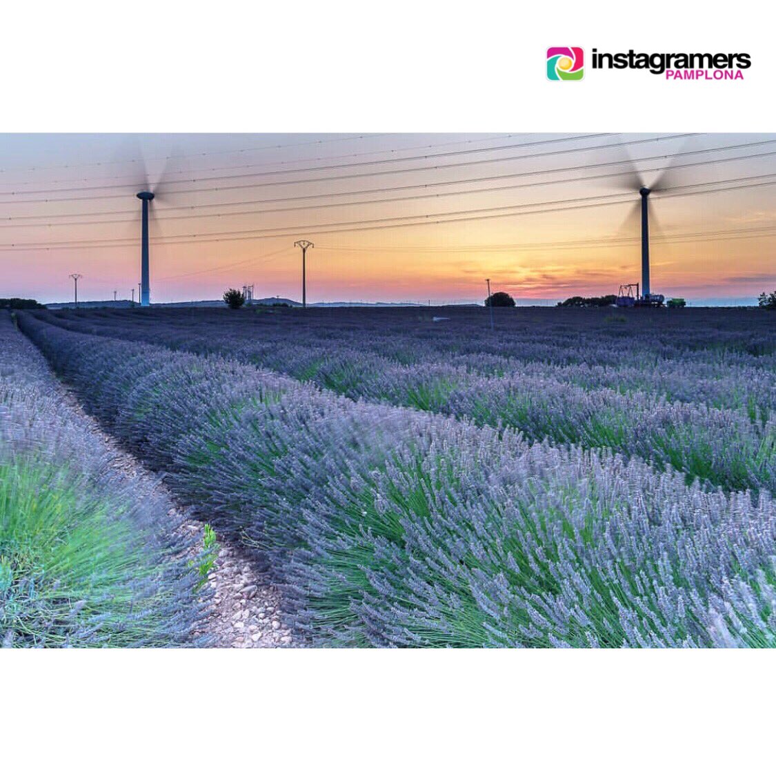 Foto #loves_navarra de #Olite de @endikadnmr