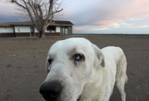 Hace miles de años tuvo lugar un extraño suceso...