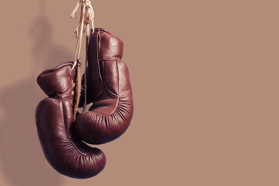 oxfordamerican's tweet image. “In Palmetto Landing, the men’s bodies existed in inverse proportion to those of their wives.”

—From @rgay’s short story “Group Fitness,” in #Issue80. ow.ly/hBCb50vvLp6