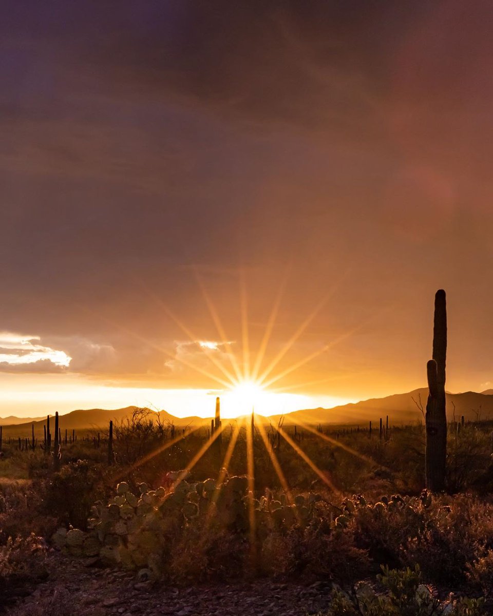 DoubleTreeTUC's tweet image. Give in to your #wanderlust and start planning your next escape to explore the beauty of Tucson.

Photo by marknavarrophoto
