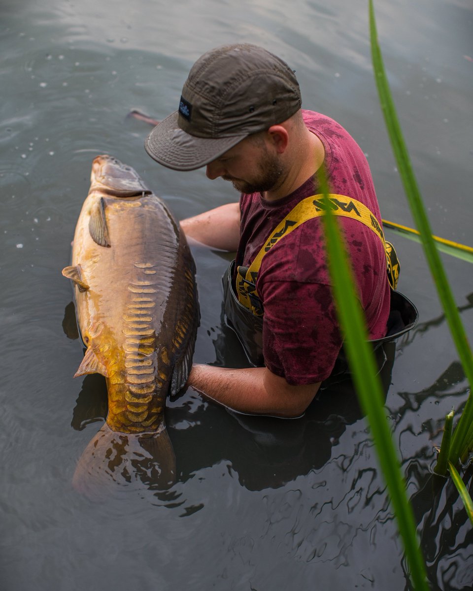 BristolAnglingCentre tweet media