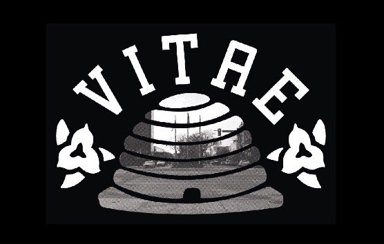 Vitaé tweet media