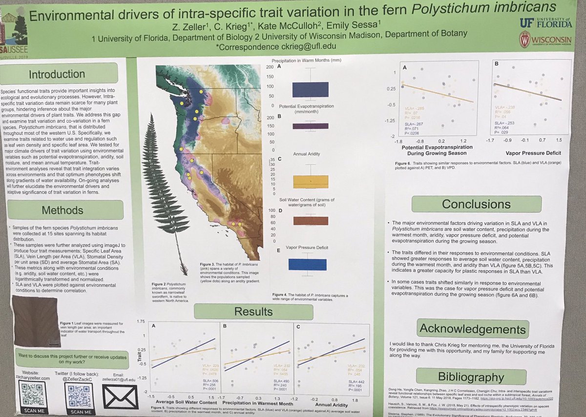 ZellerZackC's tweet photo. #ESA2019 people, check out my poster on intra-specific trait variation in P imbricans (poster #67)  #ferns #environmentalgradients #phenotypicplasticity https://t.co/WGV74fREWV