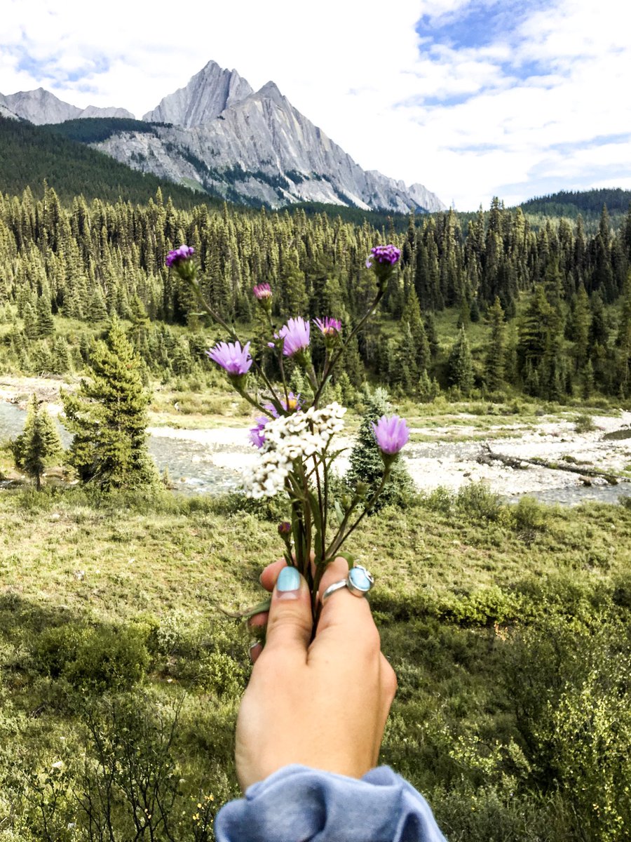 McKenzieLautt's tweet photo. Banff, AB, Canada🇨🇦 https://t.co/9Qh0iShtWj