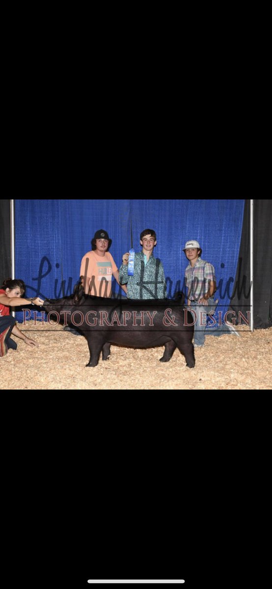 j_genetics's tweet photo. Congratulations Vade Dishman on an incredible run this summer! Thank you for trusting in our program!              5th Overall Division 3 Cross Gilt Indiana State Fair 2019.   Bred by Us. Sired by: No Smoke x The Duke https://t.co/pgBd6J2uog