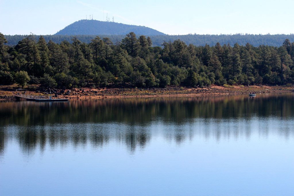 ShowLowFF's tweet photo. Our International festival is held in the beautiful White Mountains of Arizona, showing films from all over the world! Yes, Arizona is NOT all desert - come join us in the cool pines and fresh mountain air! 

Last day for submissions is August 16th! https://t.co/sXrKN2Xllx