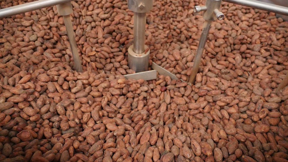 SENA_Antioquia's tweet photo. Los visitantes de las Islas del Caribe conocieron el apoyo que le brinda #SENAEmprendeRural a #ChocolateColombia para cambiar realidades y aportarle al agro colombiano https://t.co/WyA5vKb0kQ