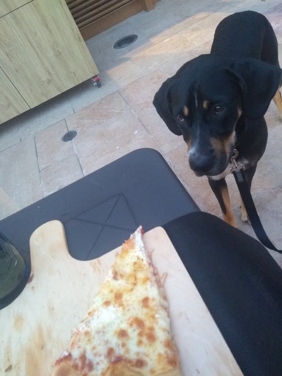 MollyDo16382907's tweet photo. Trying to score pizza at #lavoute pizzaria #menton #france https://t.co/WZBfAVybgl