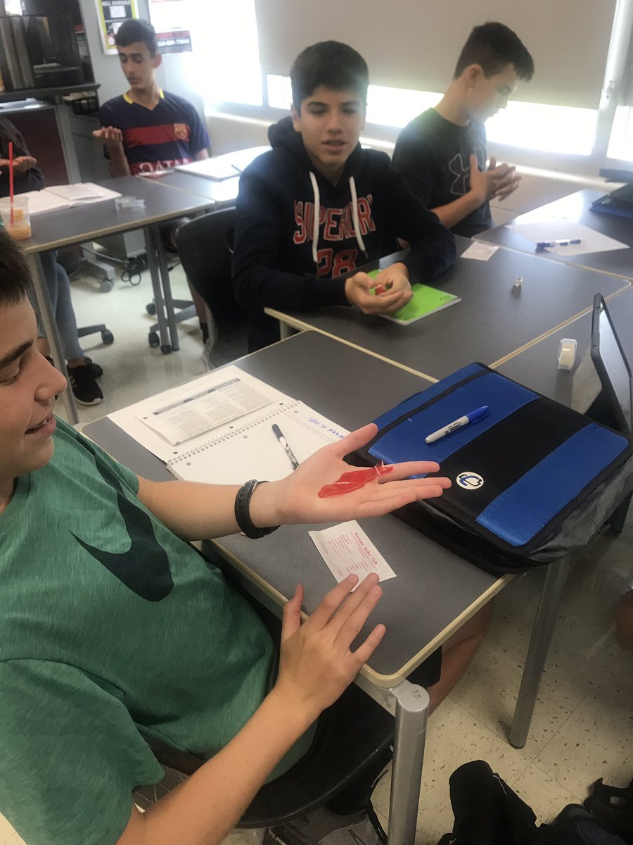 WaltersPAPBio's tweet photo. Can fish really tell our fortunes? Using the scientific method to find out... #M9GameOn #BioisFun https://t.co/ckyEdH8okC