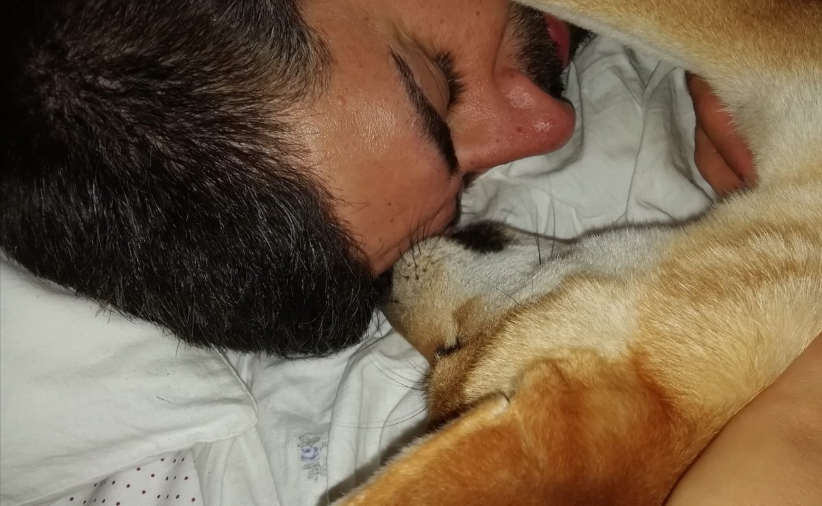 AndreaPeruzzo's tweet image. 