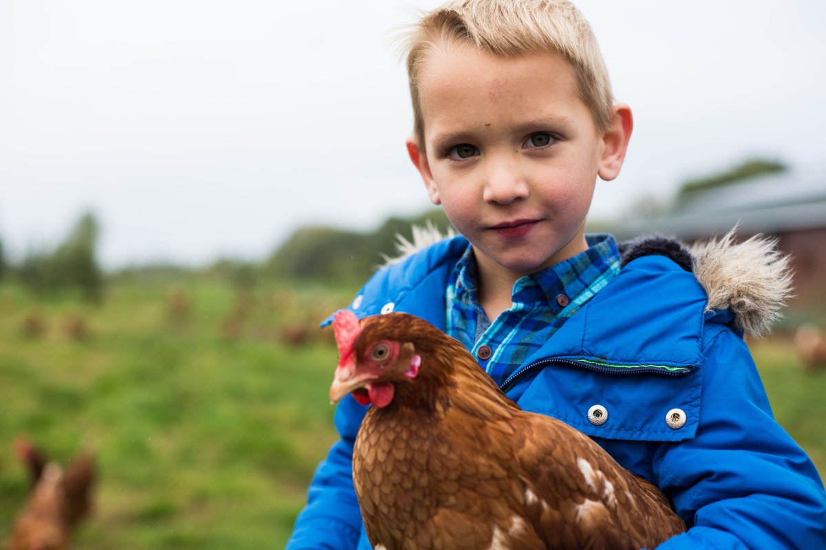 Sapling Home Farm tweet media