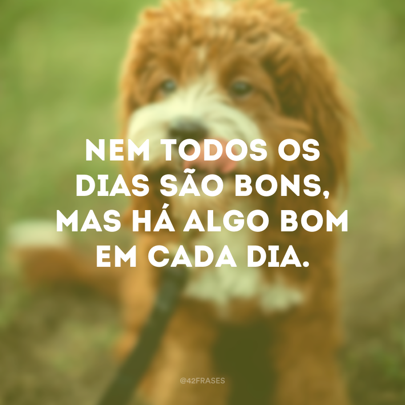 42 Frases (@oficial42frases) / Twitter 42 Frases (@oficial42frases) / Twitter