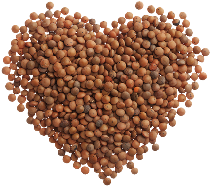 Second Harvest Inland Northwest tweet media