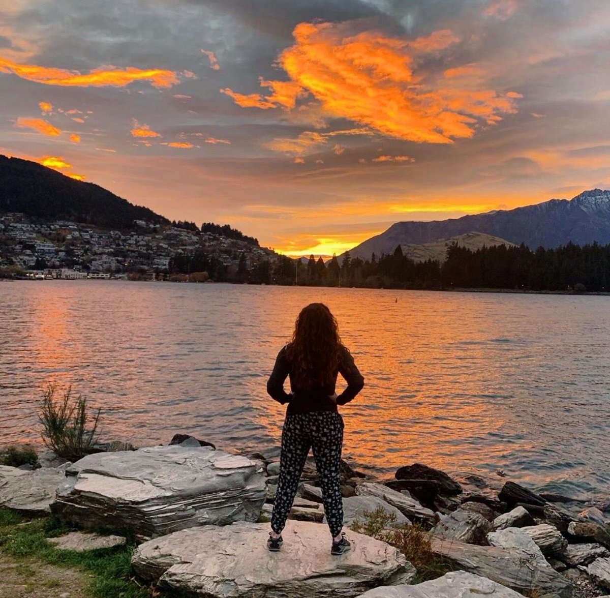 shextreme tweet media