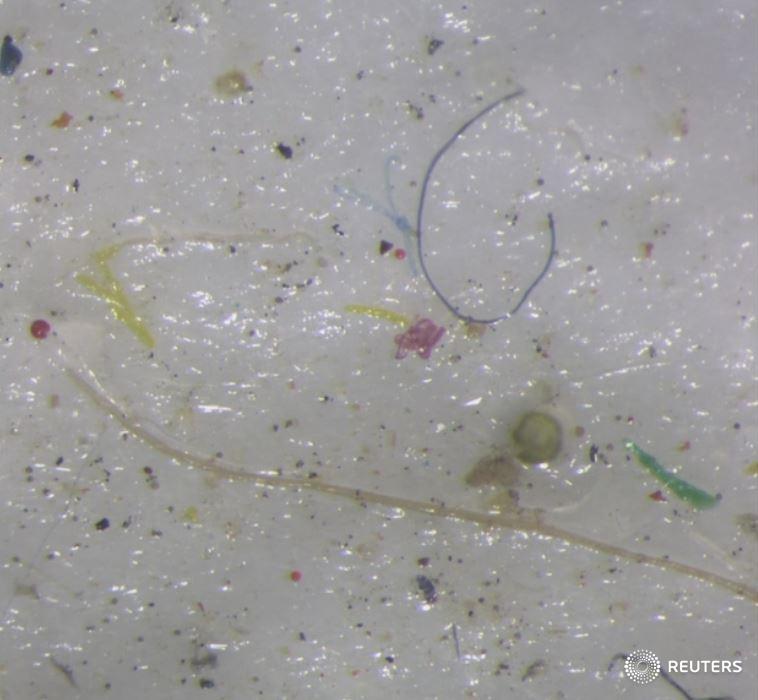 EB88aY2WkAA3xcn?format=jpg&name=900x900