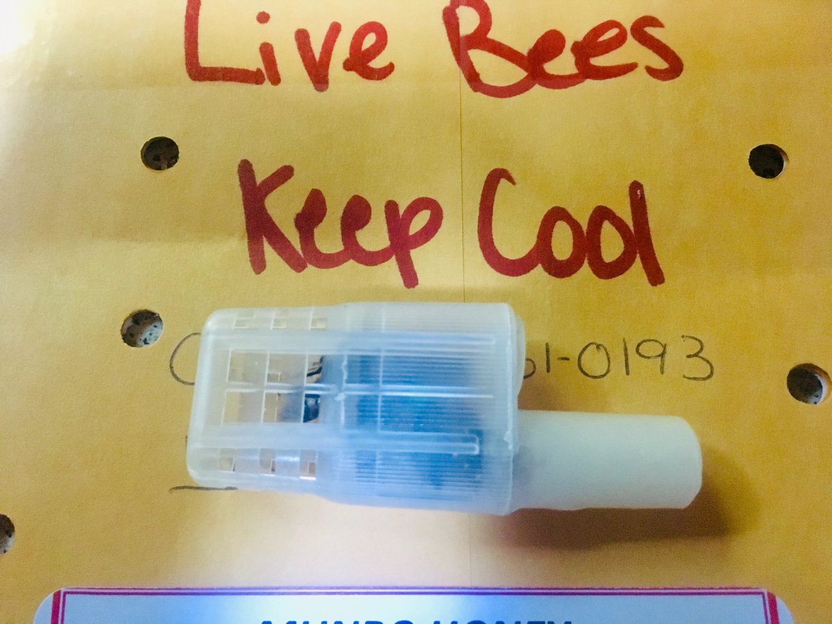 iansinclair86's tweet photo. #canadapostcorp delivered a new queen bee from #munrohoney. The girls watched patiently while I installed the queen into the queenless hive. She should be laying eggs and growing the hive in a week. https://t.co/Eb2F18A4T0