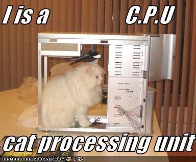 WOUTechDesk's tweet image. Word of the Week: CPU
or Central Processing Unit is the electronic circuitry within a computer that carries out the instructions of the computer program. 
The CPU (aka: the tower) is labeled by a WOU# specific to you!