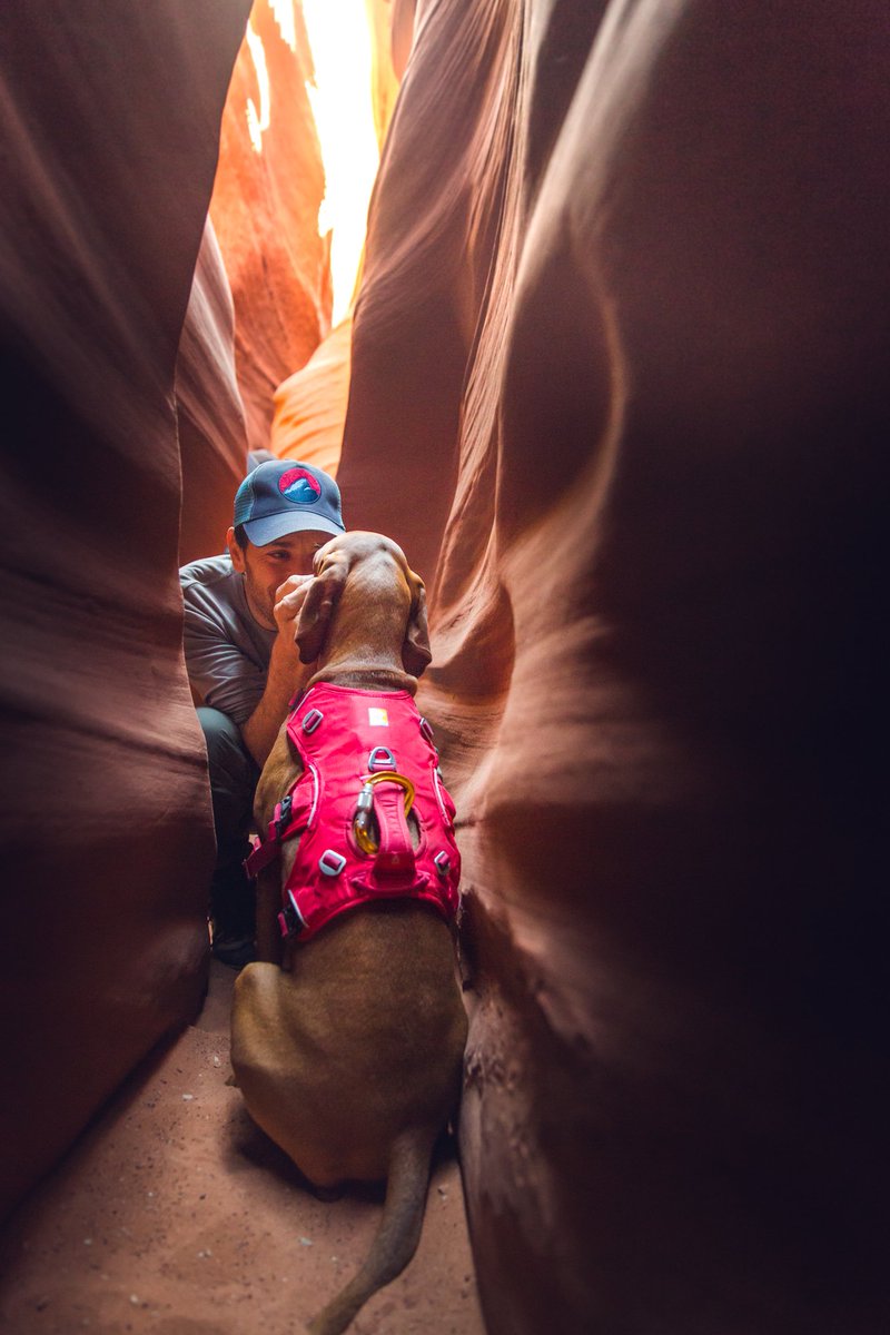 Ruffwear tweet media