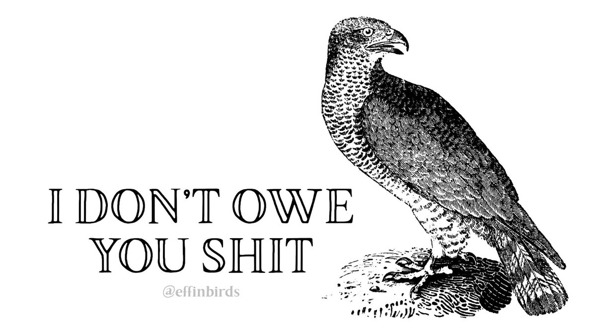 EffinBirds's tweet image. 